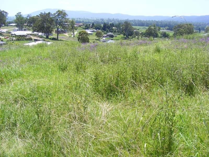 Lot 416 Glen Mia Drive, Bega NSW 2550