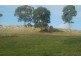 Lot 503 Glen Mia Drive, Bega NSW 2550