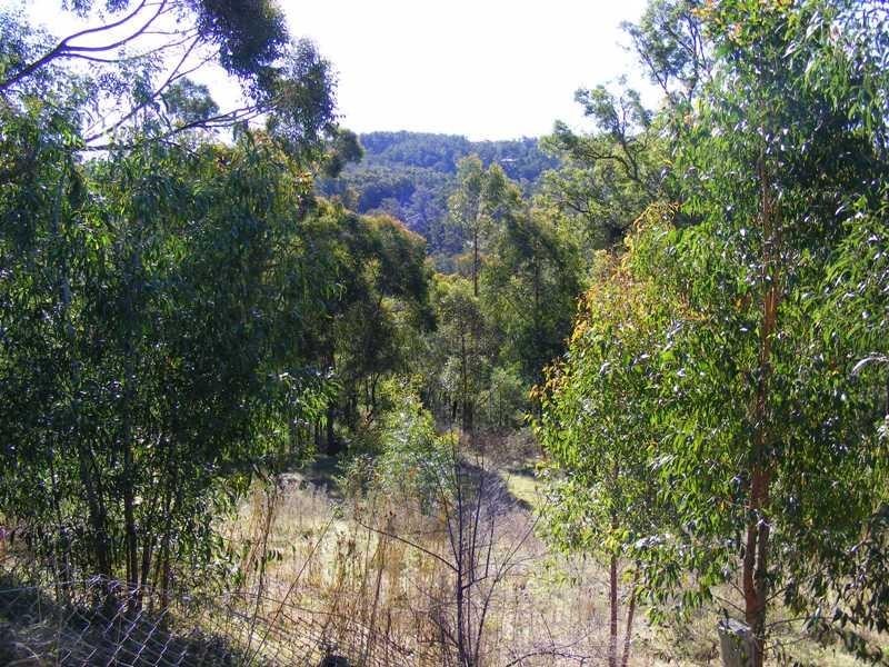 662 Hawks Head ROAD, Brogo NSW 2550