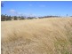 Lot 14 Max Slater Drive, Bega NSW 2550