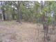 1501 Myrtle Mountain Road, Candelo NSW 2550