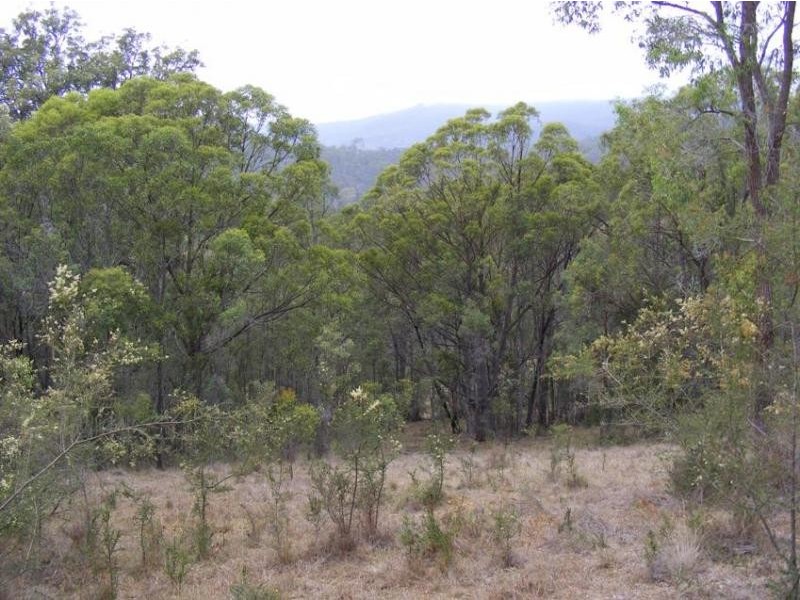 1501 Myrtle Mountain Road, Candelo NSW 2550