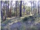 Lot 116 Reedy Swamp Road, Tarraganda NSW 2550