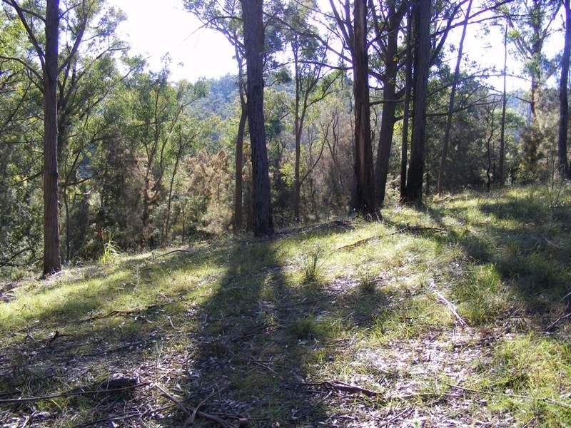 Lot 116 Reedy Swamp Road, Tarraganda NSW 2550