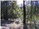 Lot 180 Reedy Swamp Road, Tarraganda NSW 2550