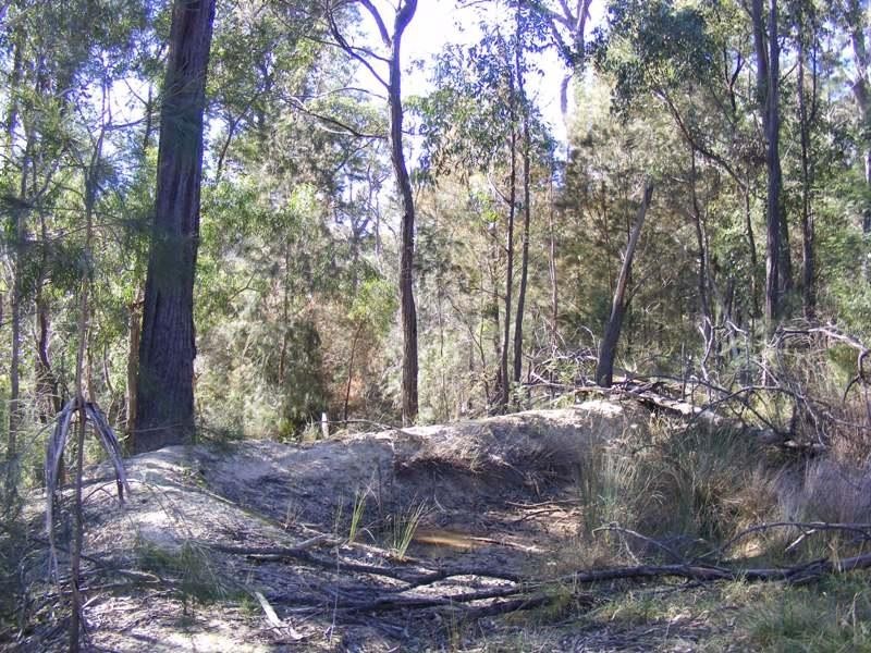 Lot 180 Reedy Swamp Road, Tarraganda NSW 2550