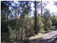 Lot 180 Reedy Swamp Road, Tarraganda NSW 2550