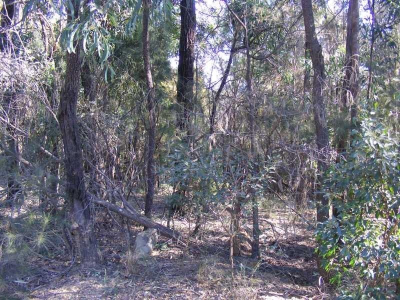 Lot 180 Reedy Swamp Road, Tarraganda NSW 2550