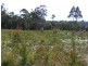 Lot 5 Shady Lane, Wallagoot NSW 2550