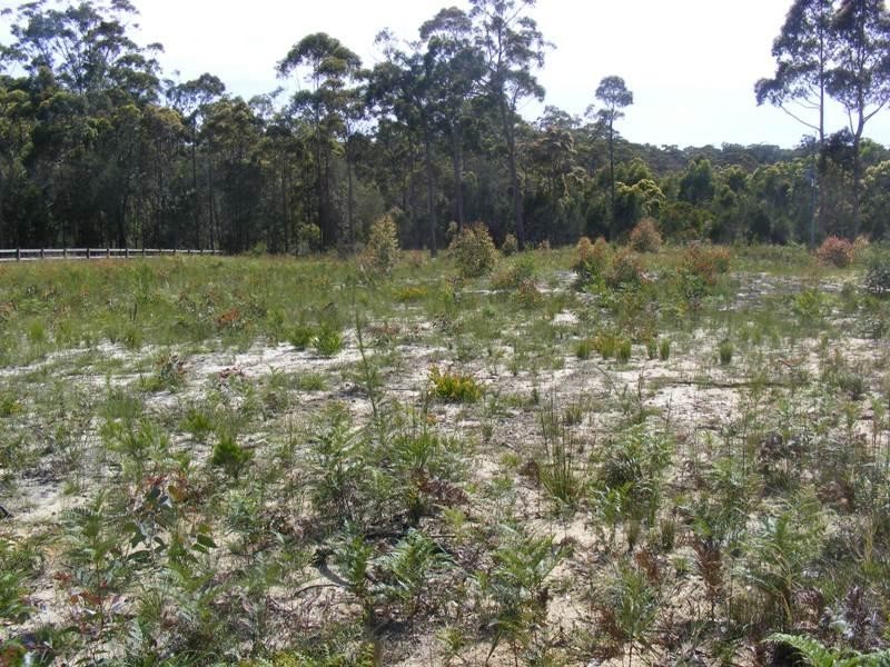 Lot 5 Shady Lane, Wallagoot NSW 2550