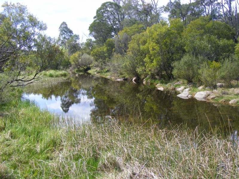 613 Tantawangalo Lane, Candelo NSW 2550