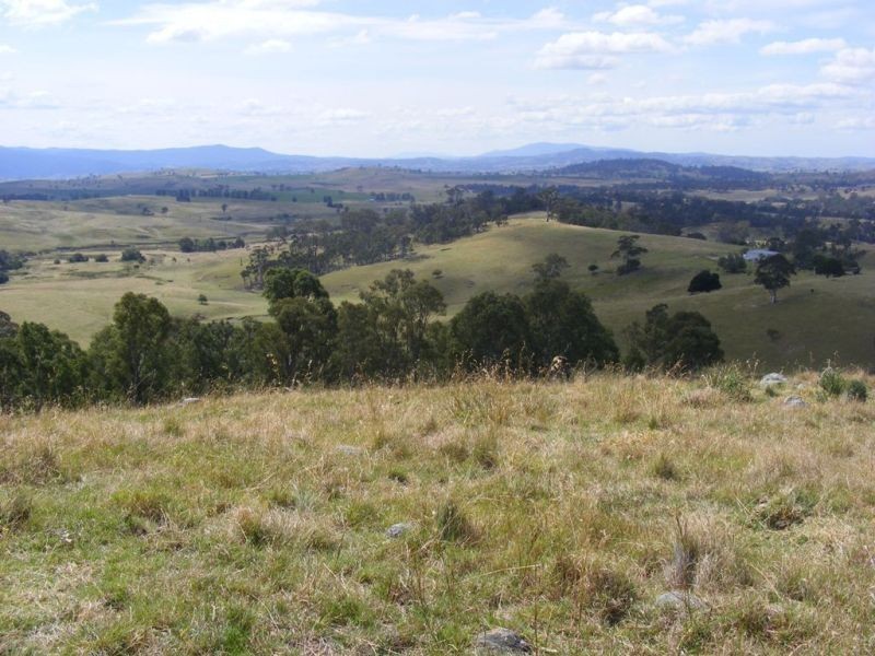 613 Tantawangalo Lane, Candelo NSW 2550