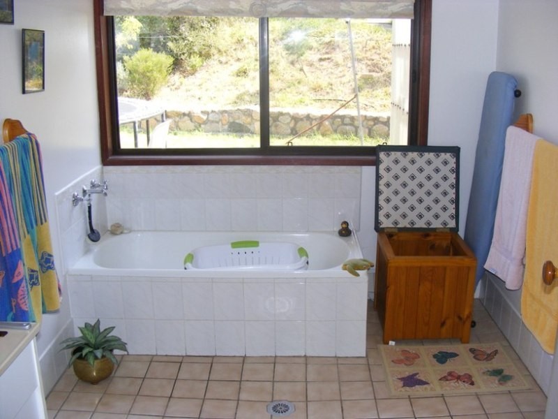 613 Tantawangalo Lane, Candelo NSW 2550