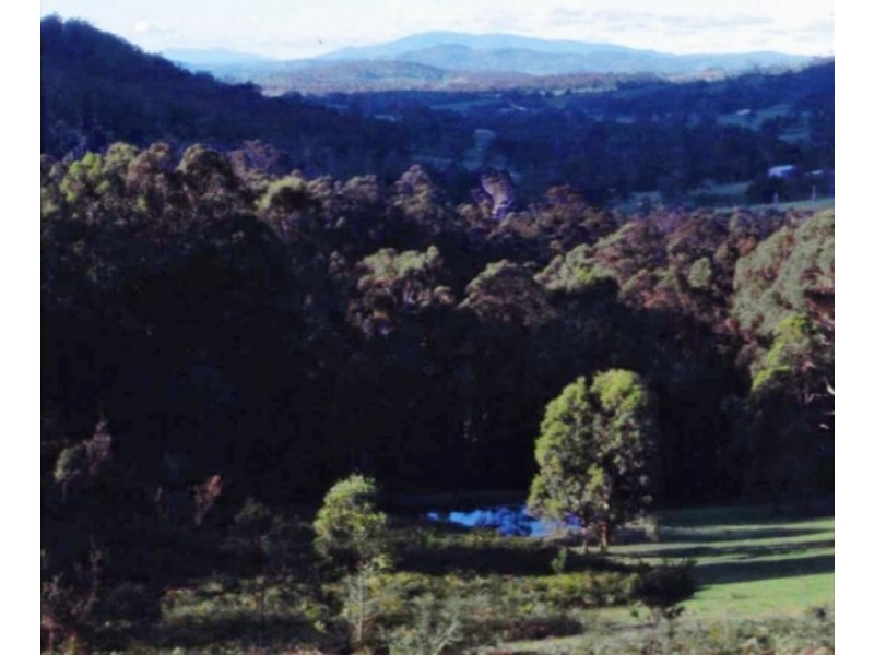 1365 Tantawangalo Mountain Rd, Tantawangalo NSW 2550