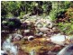 1365 Tantawangalo Mountain Rd, Tantawangalo NSW 2550
