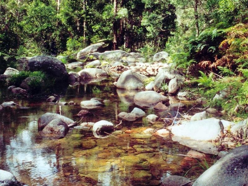 1365 Tantawangalo Mountain Rd, Tantawangalo NSW 2550