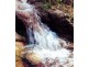 1365 Tantawangalo Mountain Rd, Tantawangalo NSW 2550