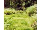 1365 Tantawangalo Mountain Rd, Tantawangalo NSW 2550