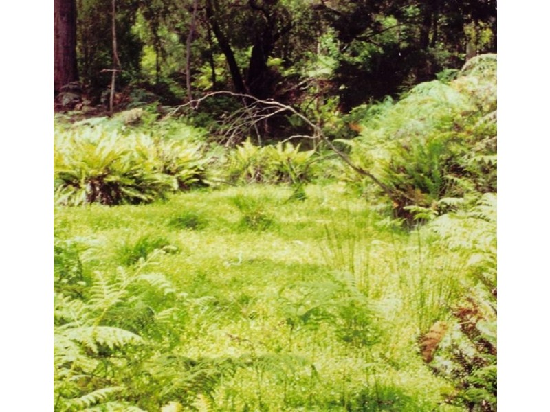 1365 Tantawangalo Mountain Rd, Tantawangalo NSW 2550
