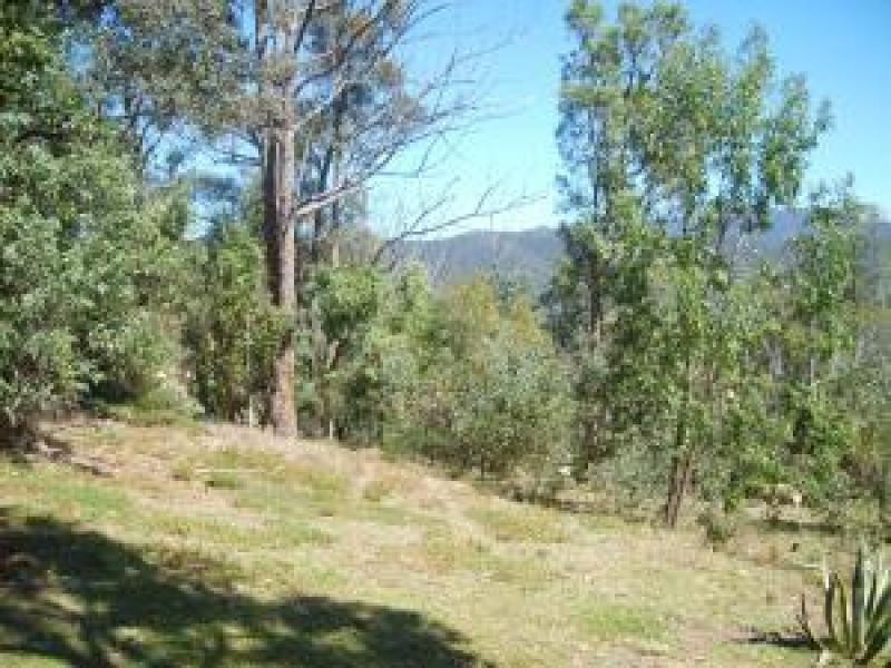 1642 Upper Brogo ROAD, Brogo NSW 2550