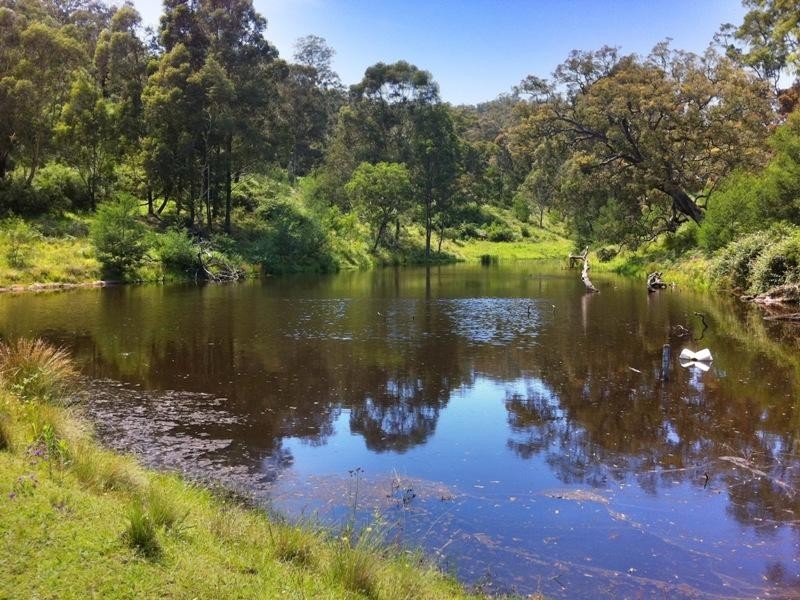 624 Warrigal Range ROAD, Brogo NSW 2550