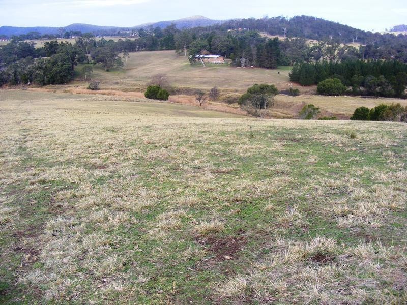 21 Old Soldiers Rd, Wolumla NSW 2550