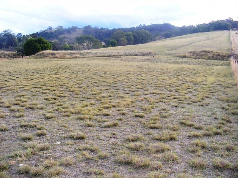 21 Old Soldiers Rd, Wolumla NSW 2550