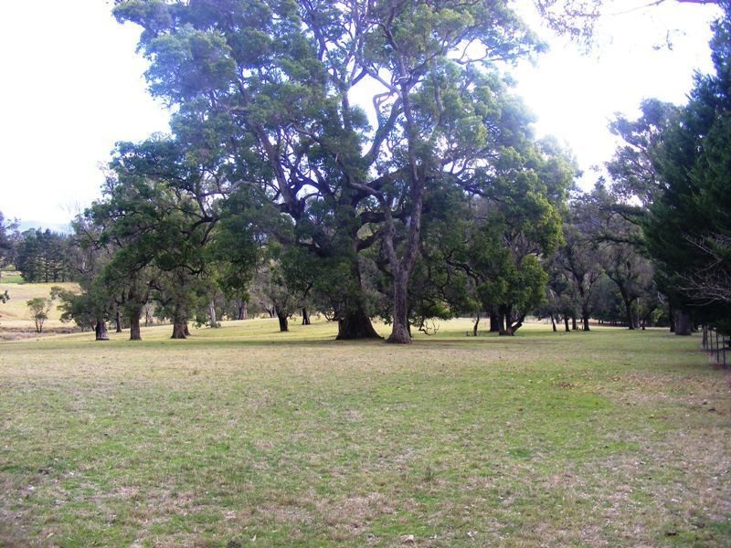 21 Old Soldiers Rd, Wolumla NSW 2550