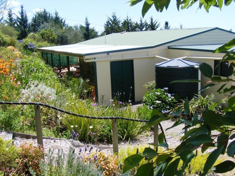 1444 Candelo-Wolumla Rd, Candelo NSW 2550