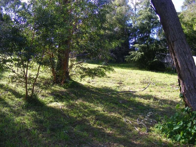 1 Cochrane Street, Wolumla NSW 2550