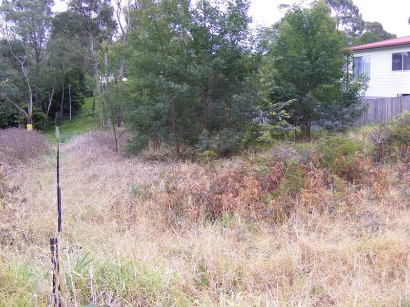 Lot 1 Bega Street, Wolumla NSW 2550