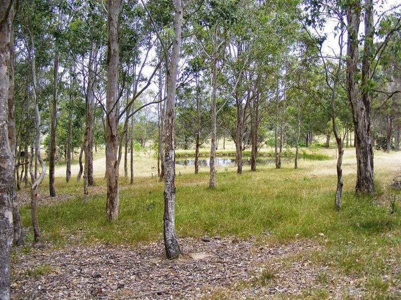 19 Greendale Lane, Wolumla NSW 2550