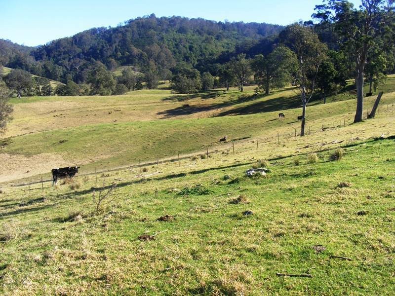 Lot 21 Upper Cobargo Road, Bega NSW 2550