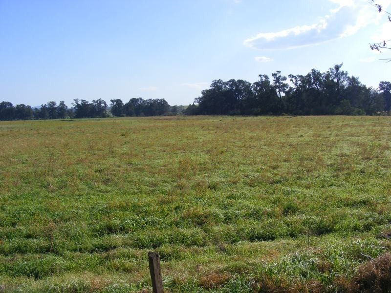 Lot 3201 Tarraganda Lane, Bega NSW 2550