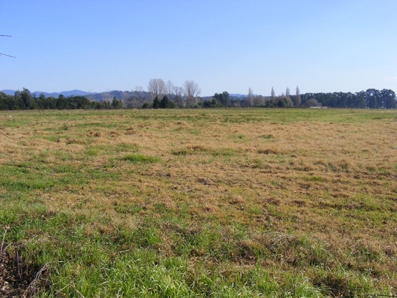 Lot 3201 Tarraganda Lane, Bega NSW 2550