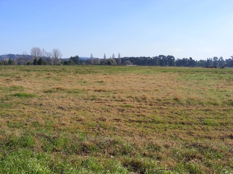 Lot 3201 Tarraganda Lane, Bega NSW 2550