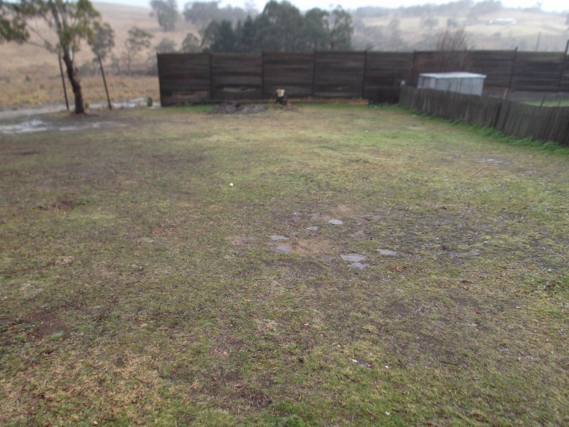221 Maybe Street, Bombala NSW 2632