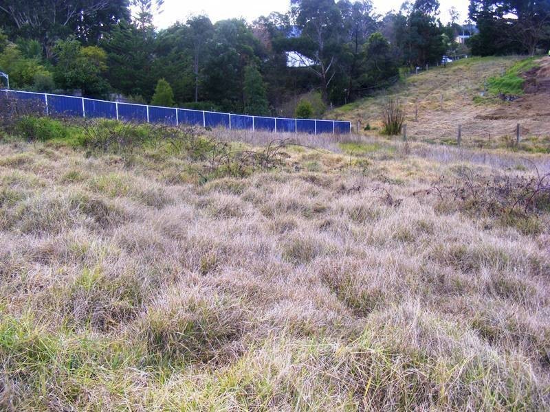 17 Phillips Street, Wolumla NSW 2550