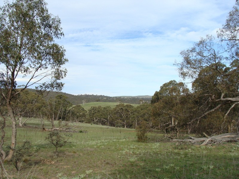 Lot 3 Ironmungie Road, Dalgety NSW 2628
