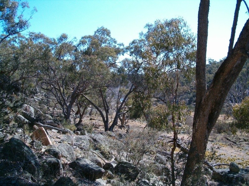 Lot 3 Ironmungie Road, Dalgety NSW 2628