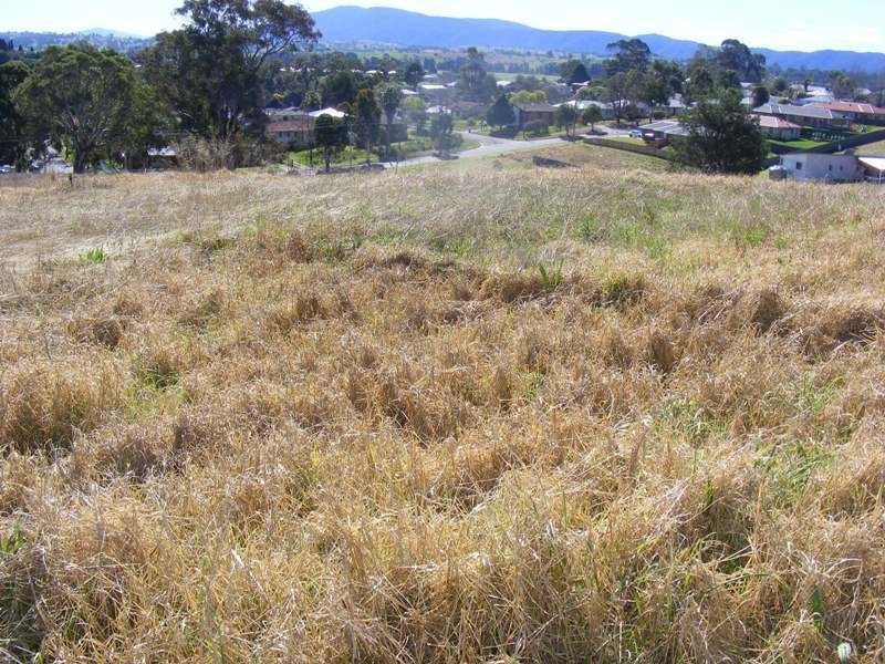 Lot 401 Bridle Place, Bega NSW 2550