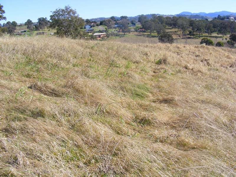 Lot 401 Bridle Place, Bega NSW 2550