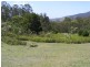 1365 Tantawangalo Mt Road, Tantawangalo NSW 2550