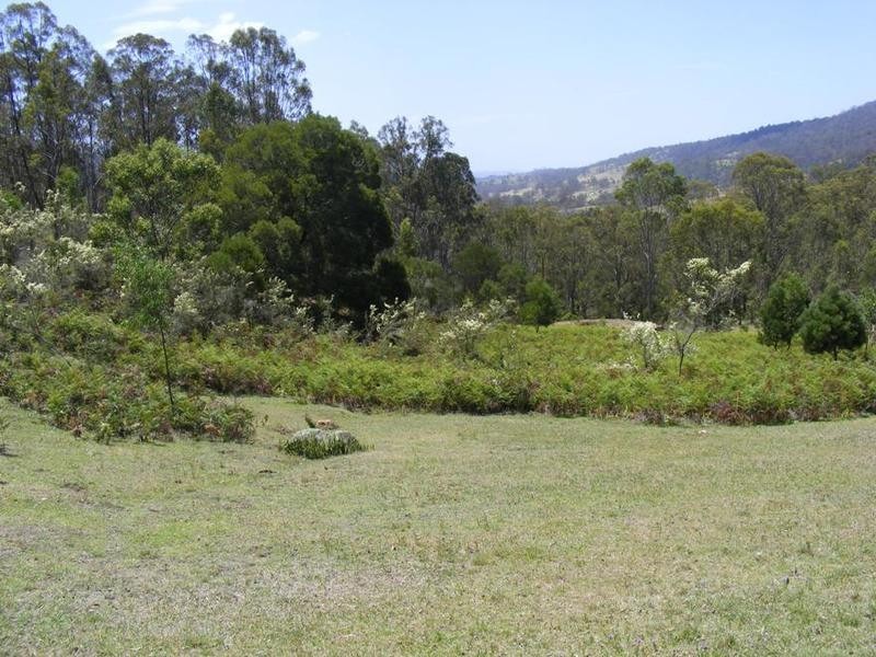 1365 Tantawangalo Mt Road, Tantawangalo NSW 2550