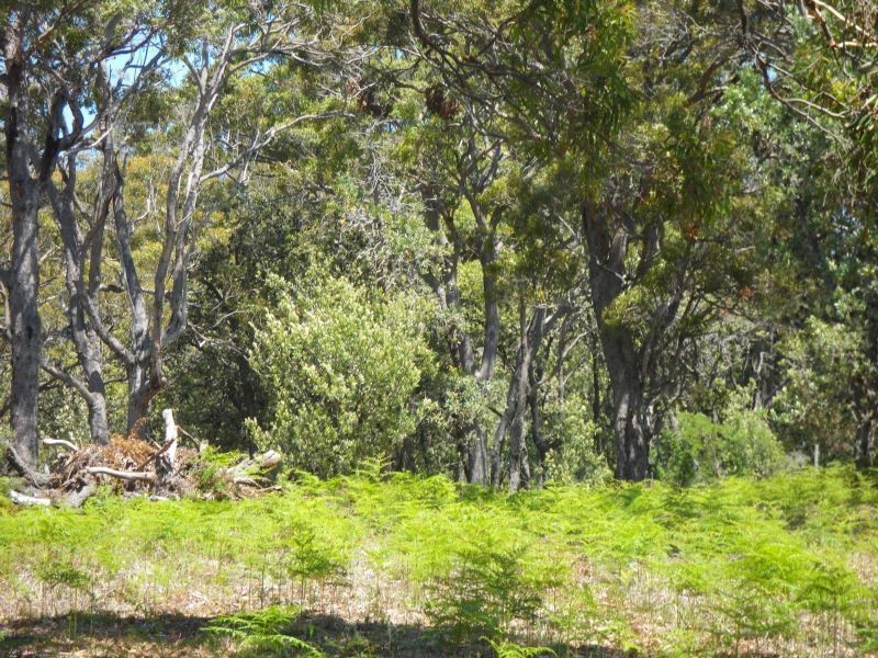 Lot 7 Rebecca Place, Tura Beach NSW 2548