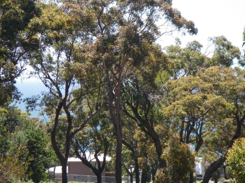 Lot 7 Rebecca Place, Tura Beach NSW 2548