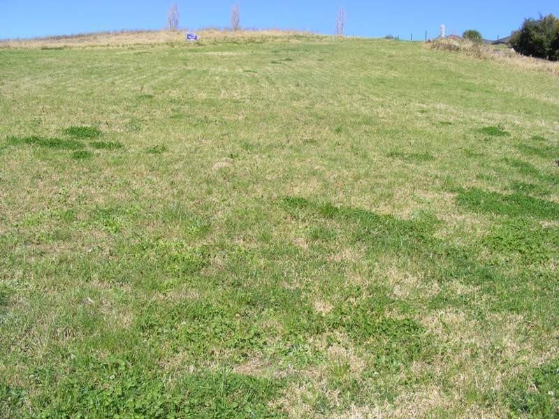 Lot 110 Glen Mia Drive, Bega NSW 2550