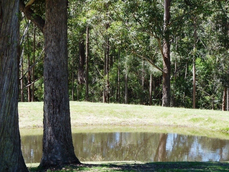 81  Dignams Creek Road, Cobargo NSW 2550