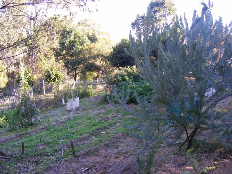 259 Black Range Road, Bega NSW 2550