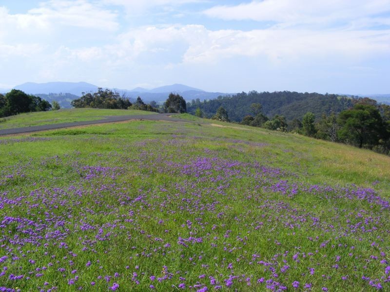 Lots A, B, C, E, G Newpark Road, Brogo NSW 2550